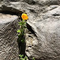 Between The Cracks