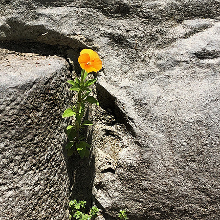 Between The Cracks