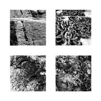 Textures from Maine