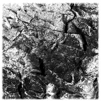 Maine Rocks 1