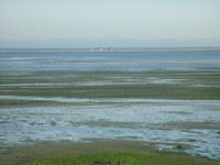 Lighthouse in the Midst