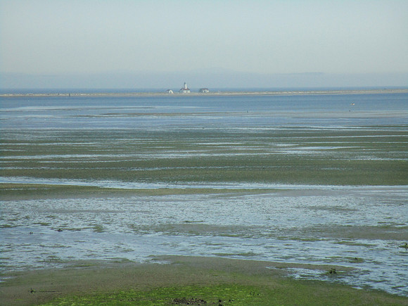 Lighthouse in the Midst