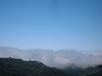 In the Clouds