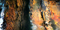 Golden Meditation 8x4 FT