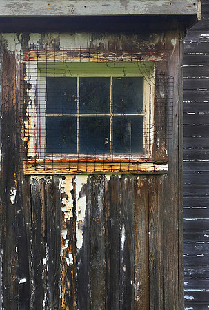 Green Window