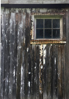 Green Window